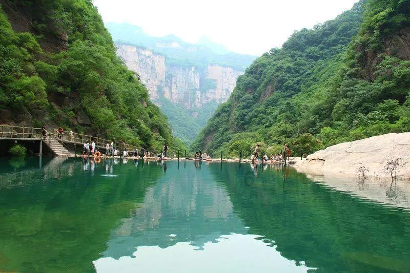虫虫助手下载