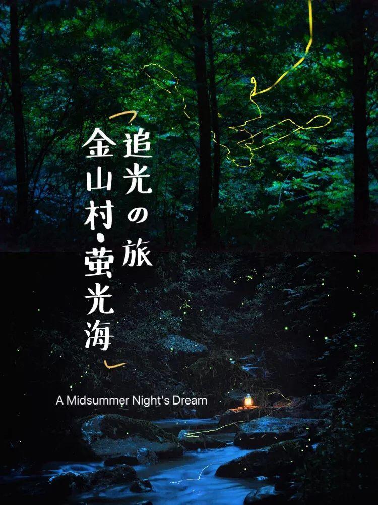 寻找遗失的手提包