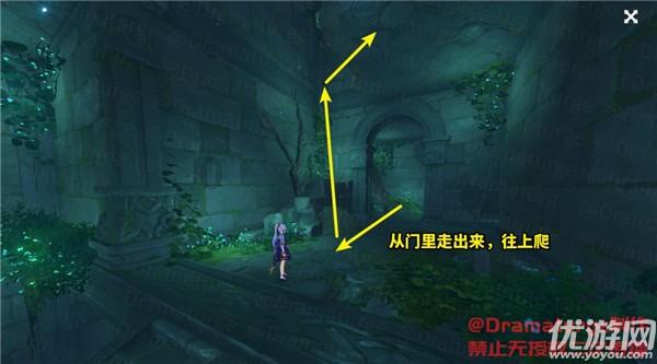 救援小袋熊